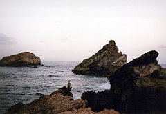 1998 - Guadeloupe 23 (La Pointe des Châteaux)